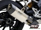  Triumph / Speed Triple 1200 RR / 2024
