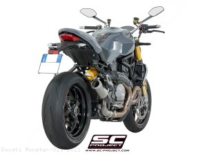  Ducati / Monster 821 / 2021