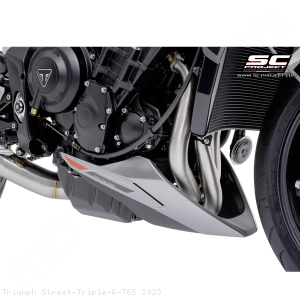  Triumph / Street Triple R 765 / 2023