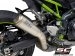  Kawasaki / Z900 / 2023