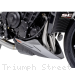  Triumph / Street Triple R 765 / 2023